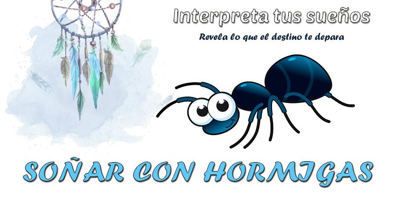 Sonar Con Hormigas Que Significa Sonar Con Hormigas Que Significa