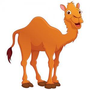 soñar con camellos