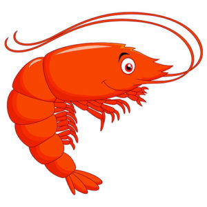 soñar con camarones